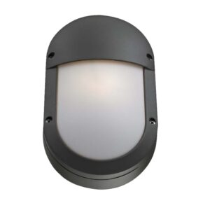 Outdoor Wall Sconce G0288S