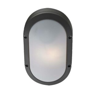 Outdoor Ceiling Lightings G0289S