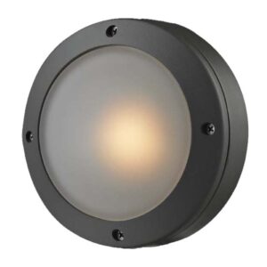 Outdoor Ceiling Lightings G0294