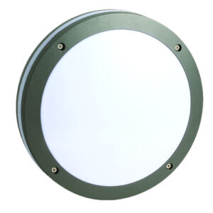 Outdoor Ceiling Lightings G0332
